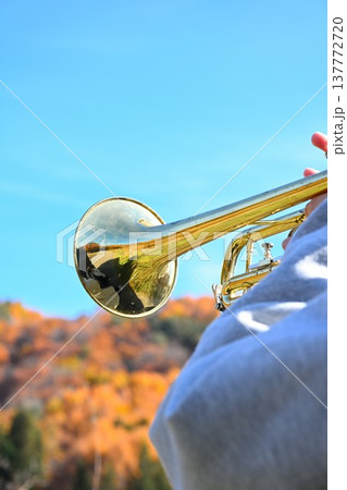 晴れた日の青空とトランペット 晴れた日の青空とトランペット 137772720