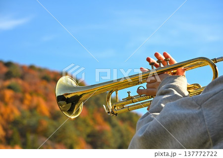 晴れた日の青空とトランペット 137772722