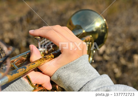 晴れた日の青空とトランペット 137772723
