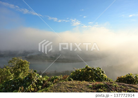 山本山高原から望む信濃川と朝靄の風景（新潟県小千谷市） 137772914