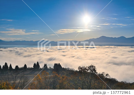 朝の山本山高原に広がる紅葉と雲海の風景（新潟県小千谷市） 137772961