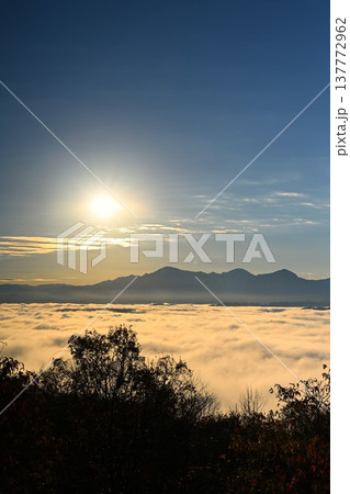 朝の山本山高原に広がる紅葉と雲海の風景(新潟県小千谷市) 朝の山本山高原に広がる紅葉と雲海の風景(新潟県小千谷市) 137772962