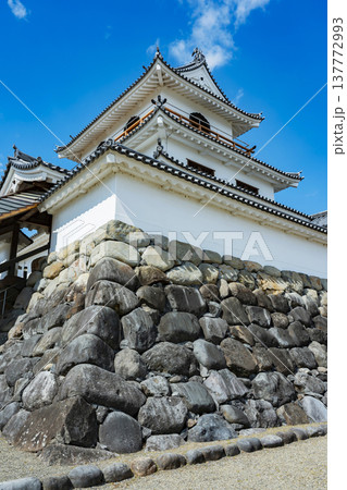 白石城址 白石市 白石城址 白石市 137772993