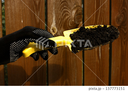 Garden seed green manure fertilizer manures compost. Hand with a shovel Garden seed green manure fertilizer manures compost. Hand with a shovel 137773151
