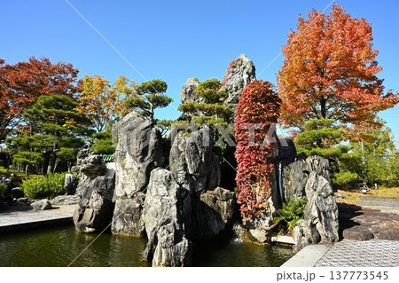 秋の天寿園で見られる中国庭園の風景（新潟県新潟市） 137773545
