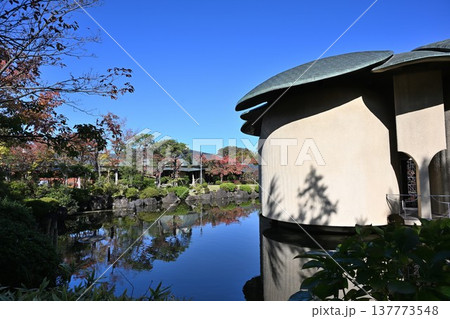 秋の天寿園で見られる中国庭園の風景（新潟県新潟市） 137773548