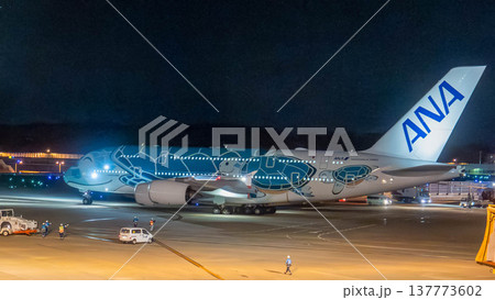 taxing中のFLYING HONU（フライング・ホヌ） 137773602