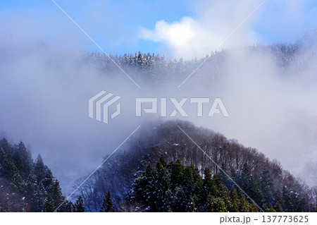 冬の里山の朝のイメージ 137773625
