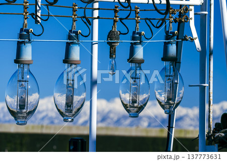 立山連峰と漁船のランプ 立山連峰と漁船のランプ 137773631