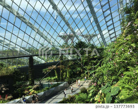 シンガポールのガーデンズバイザベイの巨大ガラスドームと熱帯植物園 137773693