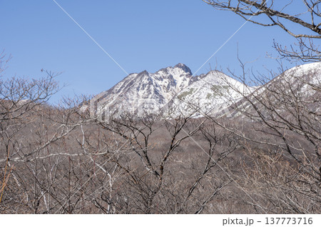 雪残る登山道から望む那須連山・朝日岳の冬景色（栃木県那須町） 137773716