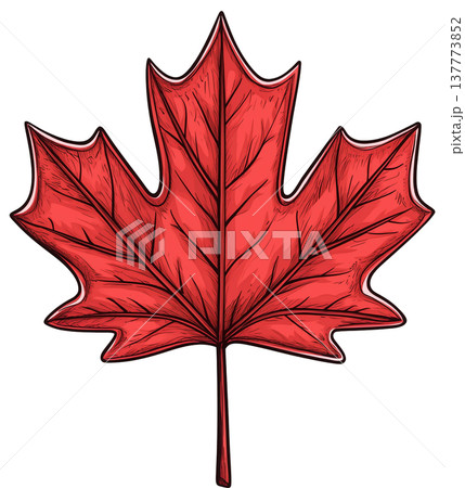 Red maple leaf symbol of Canada flag watercolor clipart. Red maple leaf symbol of Canada flag watercolor clipart. 137773852