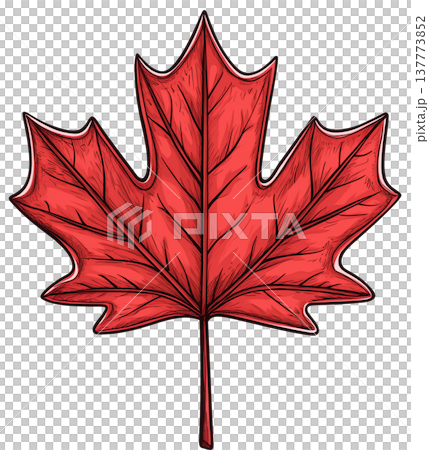 Red maple leaf symbol of Canada flag watercolor clipart. Red maple leaf symbol of Canada flag watercolor clipart. 137773852
