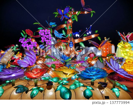 台湾ランタンフェスティバルの美しいランタン　（嘉儀市） 137773994