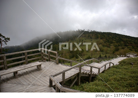 夏の大台ヶ原 正木ヶ原の展望台と霧の山景 夏の大台ヶ原 正木ヶ原の展望台と霧の山景 137774089