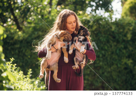 Woman is with dogs outdoors Woman is with dogs outdoors 137774133