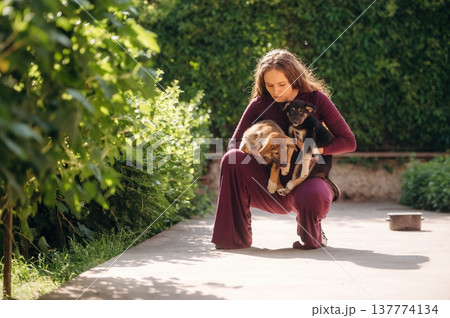Woman is with dogs outdoors Woman is with dogs outdoors 137774134