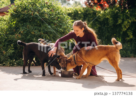 Eating the food. Woman is with dogs outdoors 137774138