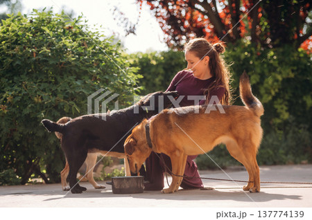 Eating the food. Woman is with dogs outdoors 137774139