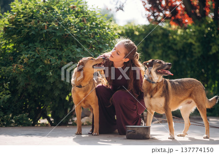 On the ground, playing, taking care. Woman is with dogs outdoors On the ground, playing, taking care. Woman is with dogs outdoors 137774150