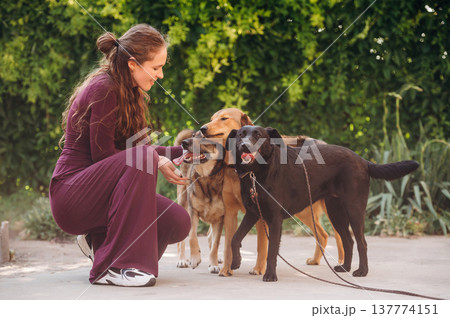 On the ground, playing, taking care. Woman is with dogs outdoors On the ground, playing, taking care. Woman is with dogs outdoors 137774151