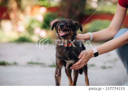 Woman in red clothes is with dog outdoors Woman in red clothes is with dog outdoors 137774153