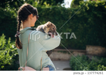 View from behind. Woman is standing and holding cute dog View from behind. Woman is standing and holding cute dog 137774261