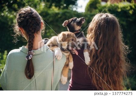 Rear view of two women that are standing and holding dogs in hands 137774275