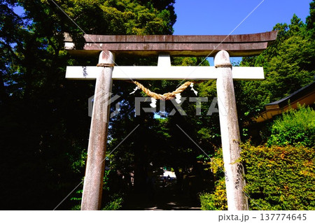 山寺　立石寺　鳥居　寶珠山阿所川院立石寺 137774645