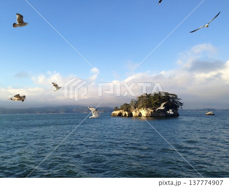 海に浮かぶ島と飛ぶカモメの風景 137774907
