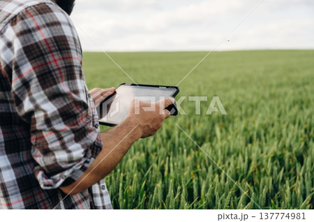 With digital tablet. Close up view of farmer's hands on the agricultural field 137774981