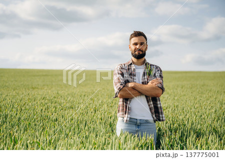 Standing with arms crossed. Man farmer is on the agricultural field Standing with arms crossed. Man farmer is on the agricultural field 137775001