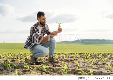 Man farmer is on the agricultural field 137775044