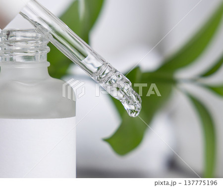 Glass pipette on cosmetic dropper bottle against green leaves and white towels, drop falling Glass pipette on cosmetic dropper bottle against green leaves and white towels, drop falling 137775196