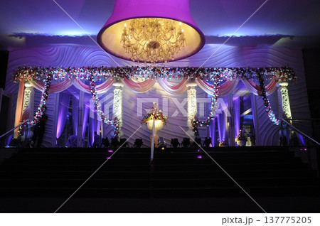 Decorative Lights in the Function Decorative Lights in the Function 137775205