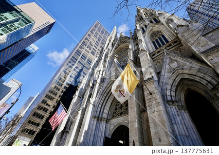セント・パトリック大聖堂（St. Patrick's Cathedral）（アメリカ合衆国・NY州） 137775631