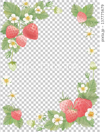 Watercolor strawberry frame 137775679