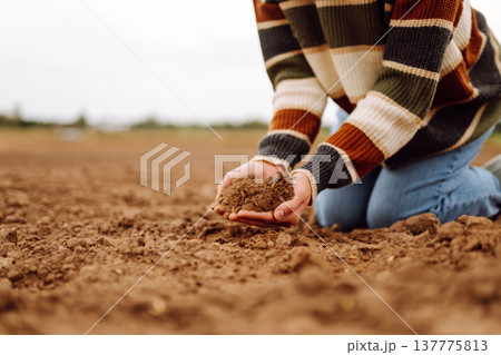 Close up of the female hands touching dry ground in an agricultural field while analyzing soil 137775813
