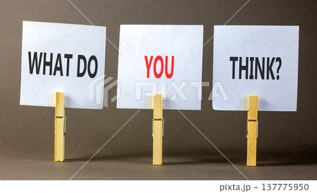 Support, help what do you think symbol. Concept words What do you think on beautiful white papers on wooden clothespin. Beautiful grey background. Business what do you think concept. Copy space. 137775950
