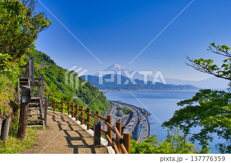 【静岡県】薩埵峠から眺める富士山 137776359