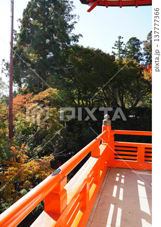 鞍馬寺の風景 137777366