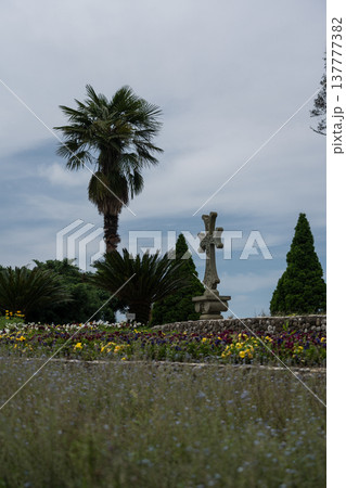 A cross and a palm tree with a view of the sky. Botanical Garden in Georgia 137777382