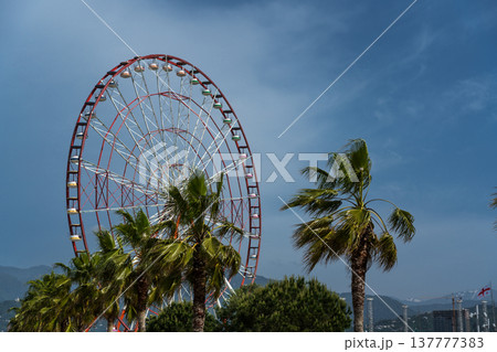 Ferris wheel in Batumi, Georgia Palm trees on the background of the Ferris wheel Ferris wheel in Batumi, Georgia Palm trees on the background of the Ferris wheel 137777383