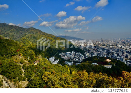 神戸布引ハーブ園から眺めた神戸の町（兵庫県神戸市） 137777628