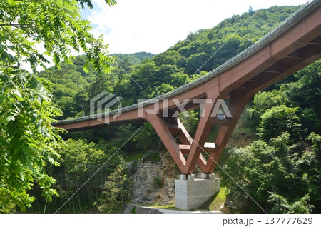 西沢大橋（山梨県山梨市） 137777629
