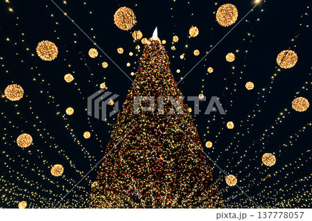 Large city Christmas tree with many lights. 137778057