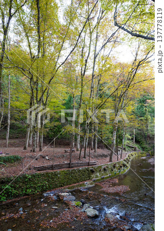 貴船川の流れ 貴船川の流れ 137778119