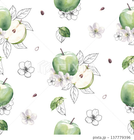 Seamless pattern with green apples, flowers, leaves, seeds and outline elements. Hand drawn watercolor illustration isolated on white background Seamless pattern with green apples, flowers, leaves, seeds and outline elements. Hand drawn watercolor illustration isolated on white background 137779396