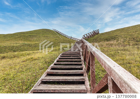 Hiking trail with wooden steps climbing a vibrant grassy mountain hill Hiking trail with wooden steps climbing a vibrant grassy mountain hill 137780008