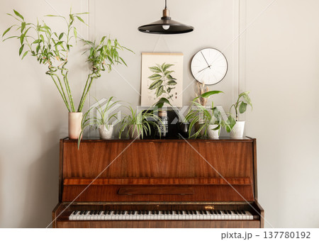 Piano with different plants in a cozy room interior. Piano with different plants in a cozy room interior. 137780192